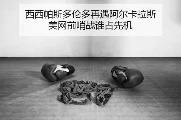 xi-xi-pa-si-duo-lun-duo-zai-yu-a-er-ka-la-si-mei-wang-qian-shao-zhan-shui-zhan-xian-ji-2-291.jpg